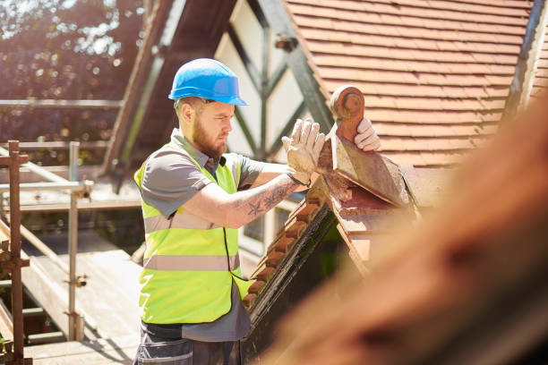 Best Flat Roof Repair Services  in Knoxville, IA