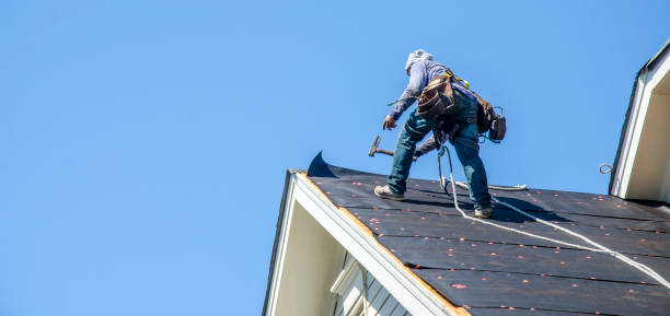 Best Roof Gutter Cleaning  in Knoxville, IA