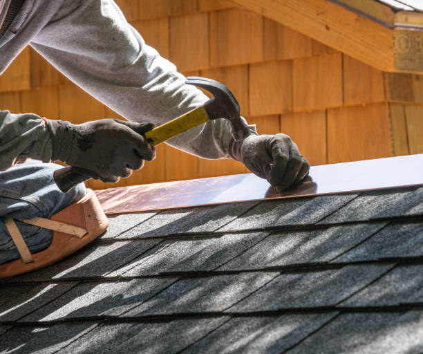 Best Roof Gutter Cleaning  in Knoxville, IA